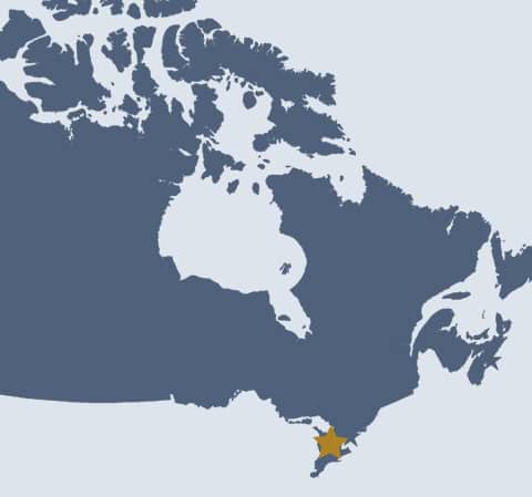 IDS of Canada is strategically located in Canada’s business capital in the Greater Toronto area.